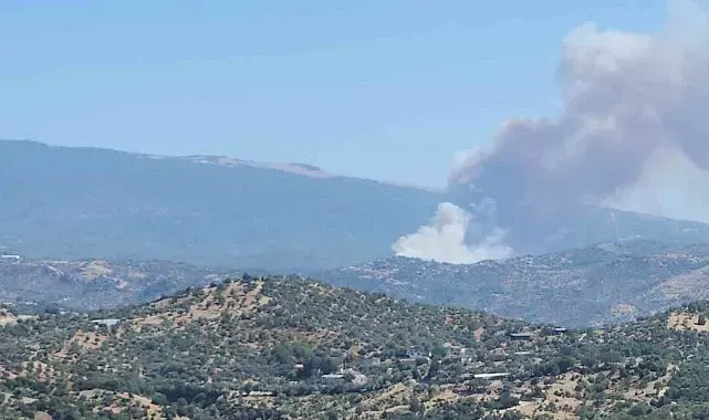 Çine'de orman yangını
