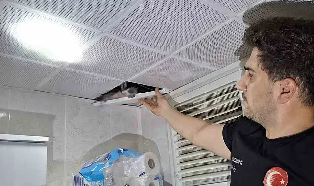 Batman'da asma tavanda sıkışan güvercinler itfaiye tarafından kurtarıldı