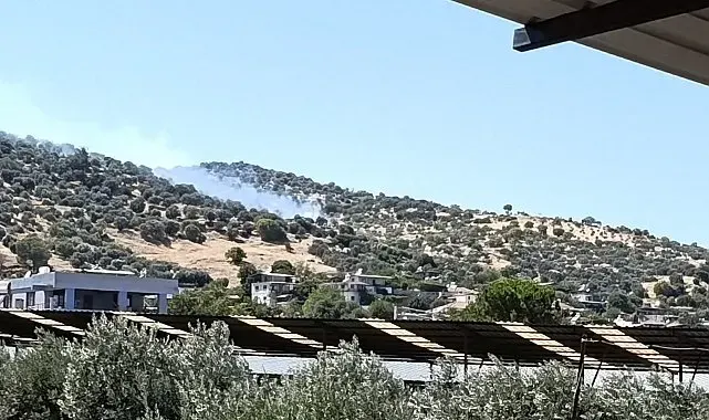 Bozdoğan'da zirai alan yangını