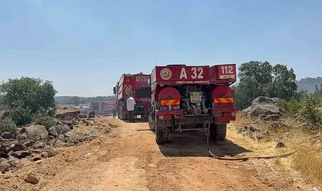 Gaziantep'teki orman yangını kontrol altına alındı