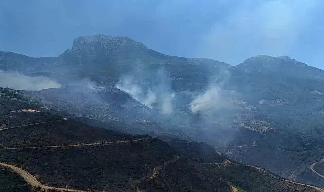 Alanya'daki orman yangınında mücadele ikinci gününde: Bölge dron ile görüntülendi