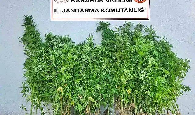 Karabük'te uyuşturucu operasyonu: 6 şüpheli adliyeye sevk edildi