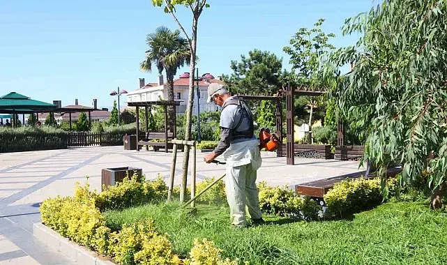 Darıca'da cadde ve sokaklar baştan aşağı temizleniyor