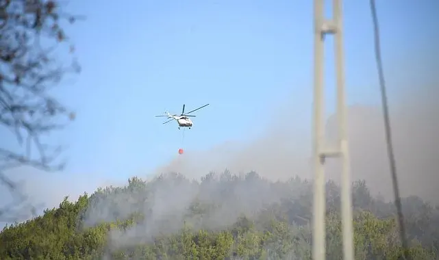 Altınoluk'taki yangın kontrol altına alındı, Gömeç yangınına müdahale sürüyor