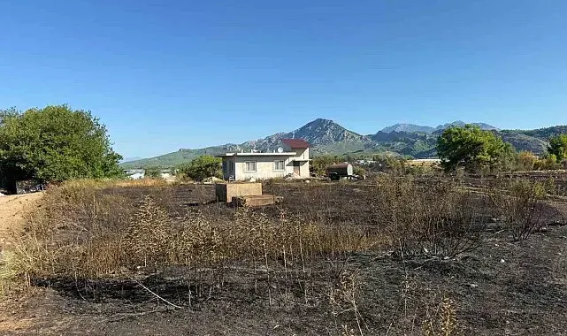 Antalya'daki yangında seralar zarar gördü