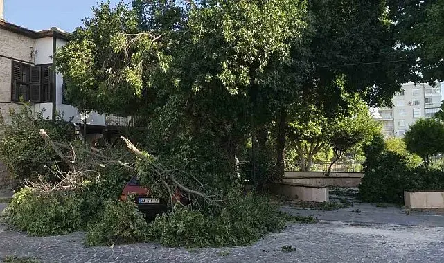 Fırtına ağaçları araçların üzerine devirdi, tekneyi kıyıya vurdu