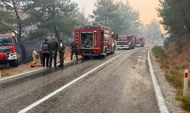 Balıkesir'deki yangın sebebiyle Ayvalık Bergama yolu trafiğe kapatıldı