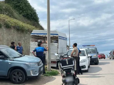 Sinop'ta Belediyeye Ait Tabelayı İzinsiz Alan Şahıs Polis Merkezine Götürüldü