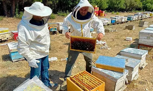 Arılı kovan desteği için işletme denetimleri sürüyor