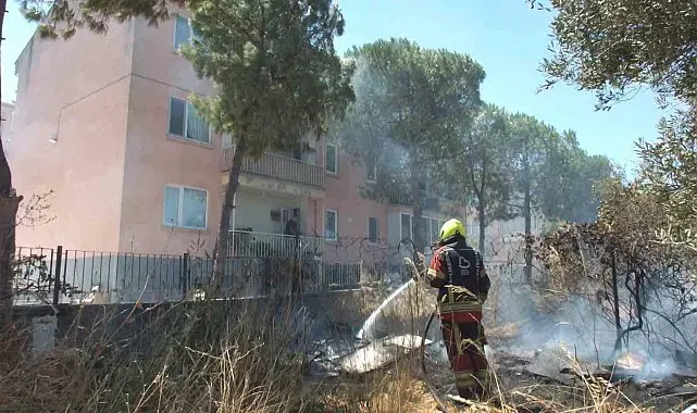 Burhaniye'de zeytinliğe sıçrayan ot yangını polis merkezinde korkuya neden oldu