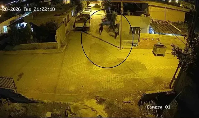Firari angus mahalleliye korku dolu anlar yaşattı