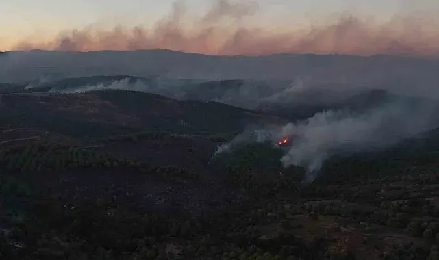 Tıfıllar Köyü'ndeki yangının boyutu gün ağırınca ortaya çıktı
