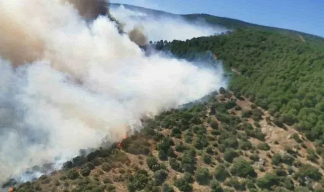 Yalova'daki orman yangını söndürüldü, bölgede soğutma çalışmaları sürüyor