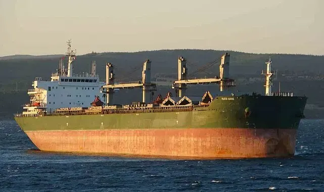 Çanakkale Boğazı'nda dökme yük gemisi karaya oturdu