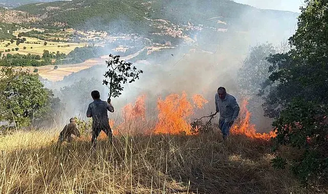 Domaniç'te tarlada başlayan ve ormanlık alana sıçrayan yangın söndürüldü