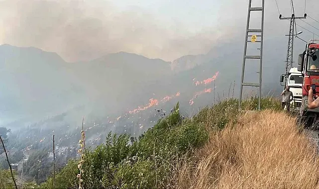 Alanya Sapadere Kanyonu'nda ormanlık alanda yangın