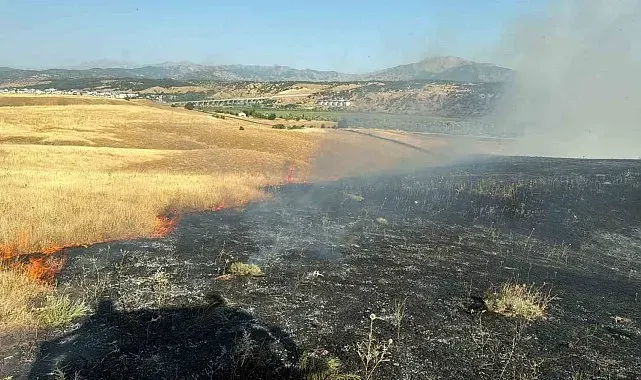 Bingöl'de çıkan arazi yangını söndürüldü