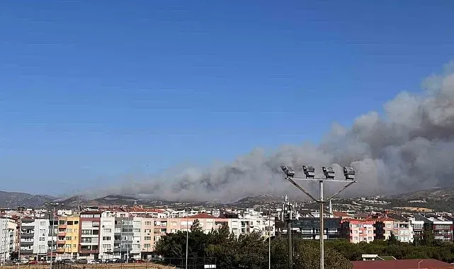 Çanakkale'deki orman yangınına müdahale sürüyor