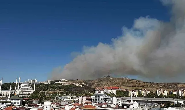 Çanakkale'de orman yangını