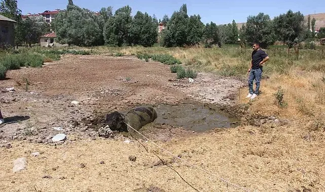 Ahırdan kaçan boğa ilçeyi birbirine kattı
