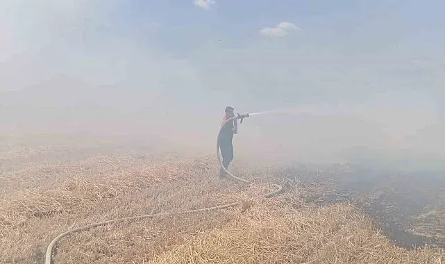 Keşan'da çıkan anız yangınında 100 dekar alan zarar gördü