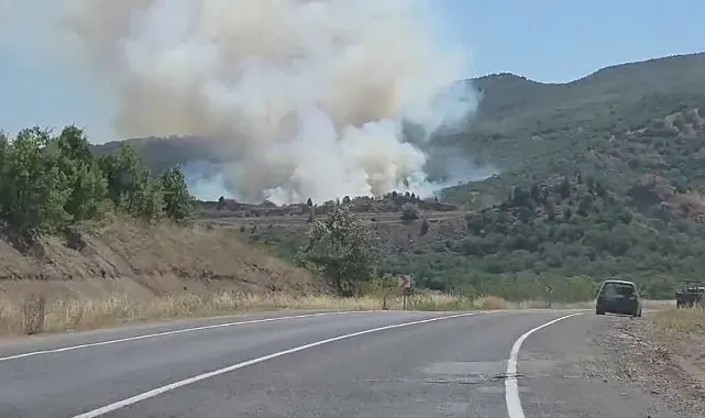 Domaniç'te tarlada başlayan yangın ormana sıçradı