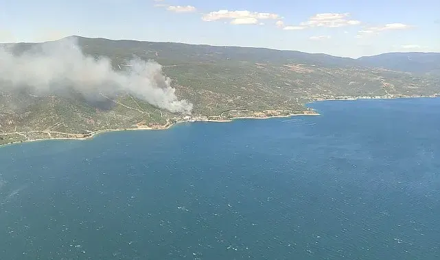 Armutlu Kapaklı hattında orman yangını: Ekipler müdahaleye başladı