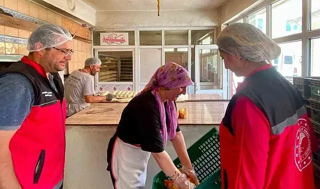 Gıda işletmelerine yönelik denetim