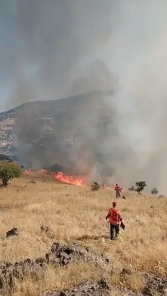 Tunceli Nazımiye'de Orman Yangını: Havadan ve Karadan Yoğun Müdahale