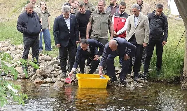 Ordu'da 35 bin doğal alabalık dereye bırakıldı