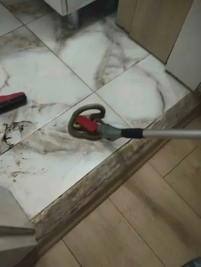 Hatay’da Yerleşim Yerlerine Giren Yılanlar Güvenle Yakalandı