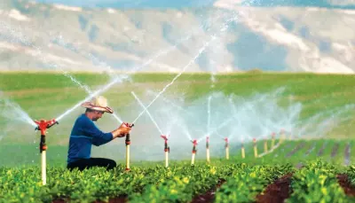 Erzincan Tarımına 169,6 Milyon Liralık Dev Hibe Desteği Onaylandı