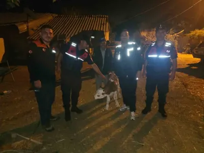 Bilecik'te Kaybolan Büyükbaş Hayvan Tarlada Doğum Yapmış Halde Bulundu