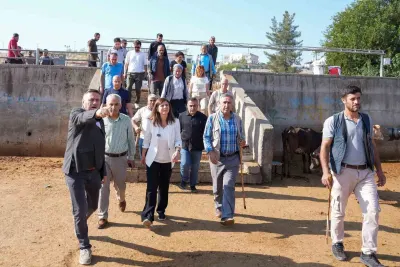 Diyarbakır Büyükşehir Belediyesi'nden Hayvan Borsası İçin Kış Öncesi Önlem