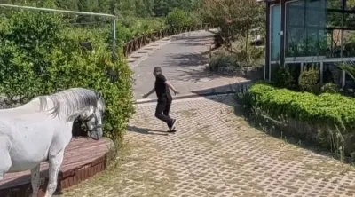 Osmaniye'de Klip Çekiminde Korku Dolu Anlar: Atın Altında Kalmaktan Son Anda Kurtuldu