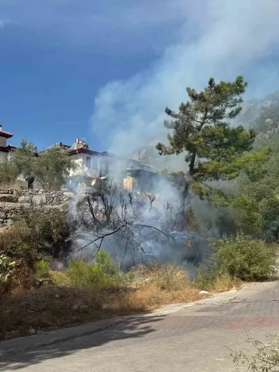 Muğla Akyaka'da Zeytinlik Alanda Ot Yangını Paniği