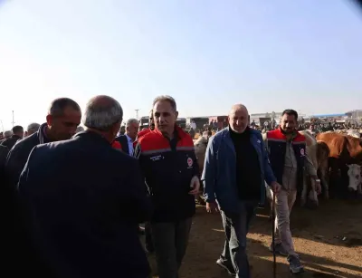 Kars Hayvan Pazarı’nda Sıkı Denetim: Sağlık ve Güvenlik Filtresi