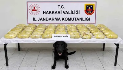 Hakkâri'de Uyuşturucu Operasyonu: Yabancı Plakalı Tırda Tonlarca Değil Ama Tonlarca Zarar Verebilecek 21 Kilo Metamfetamin Yakalandı
