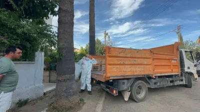Marmaris'te Çöp Ev Şoku: Bir Kamyon Çöp ve 30'a Yakın Kedi Çıktı