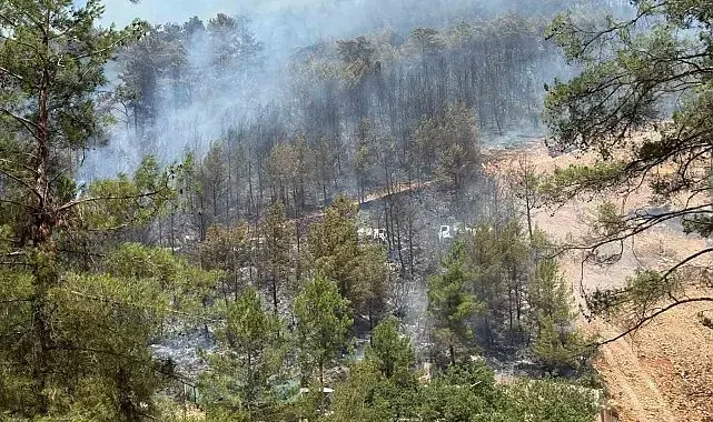 Fethiye'de orman yangınını söndürme çalışmaları sürüyor