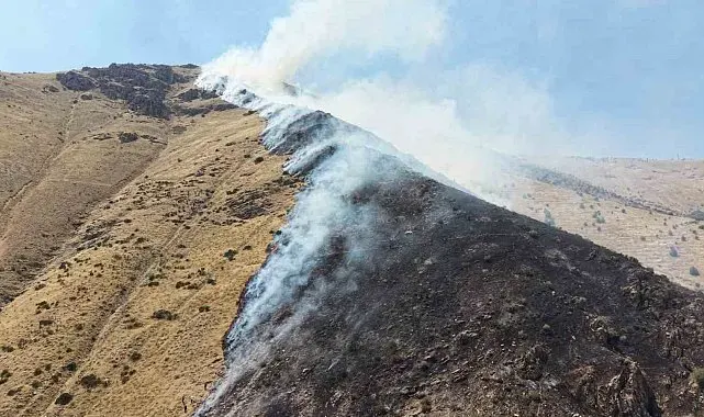 Elazığ'da dağlık alandaki yangına müdahale sürüyor