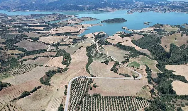 Baraj çevresi bal ormanına dönüşüyor