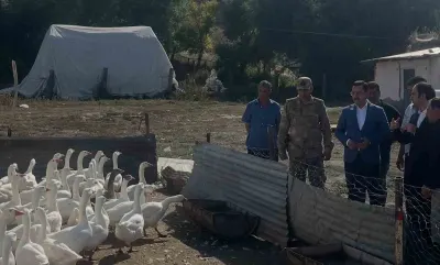 Akyaka'da Kaz Yetiştiriciliği Yakın Takipte