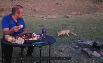 Bitlis'te Piknik Sofrasının Davetsiz Misafiri: 2 Saat Boyunca Ayrılmadı
