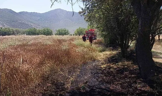 Burdur'da tarlada yangın