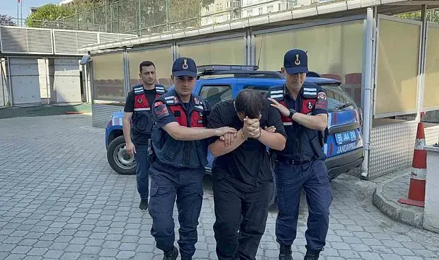 Odunluğa saklanan 4 bin 531 uyuşturucu hap ele geçirildi: 1 tutuklama
