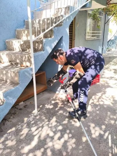 Hatay İskenderun'da Evin İçinde Korkutan Yılan Paniği: Ekipler Hızla Müdahale Etti