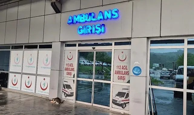 Alaplı'da 'pat-pat' kazası: 2 yaralı