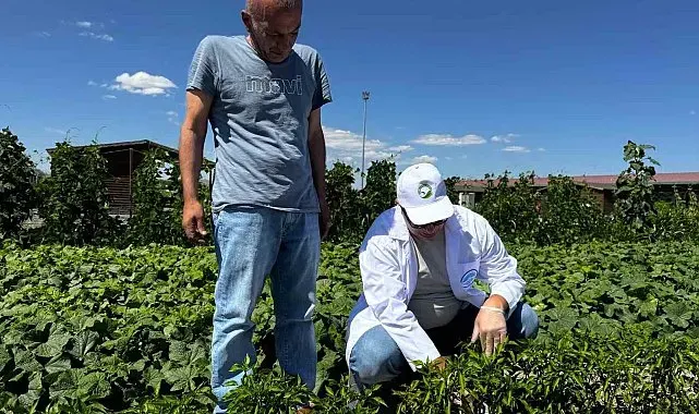 Kayseri Büyükşehir'in doğal ürünler pazarı 25 Temmuz'da kapılarını açıyor