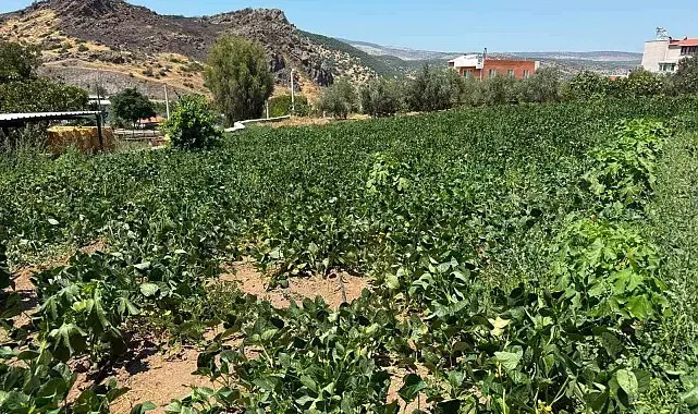 Menemen'de su hasreti çeken Ayvacık köyüne asırlık hizmet
